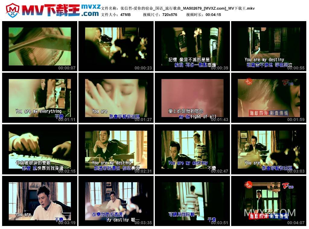 张信哲-爱你的宿命_国语_流行歌曲_MA502679